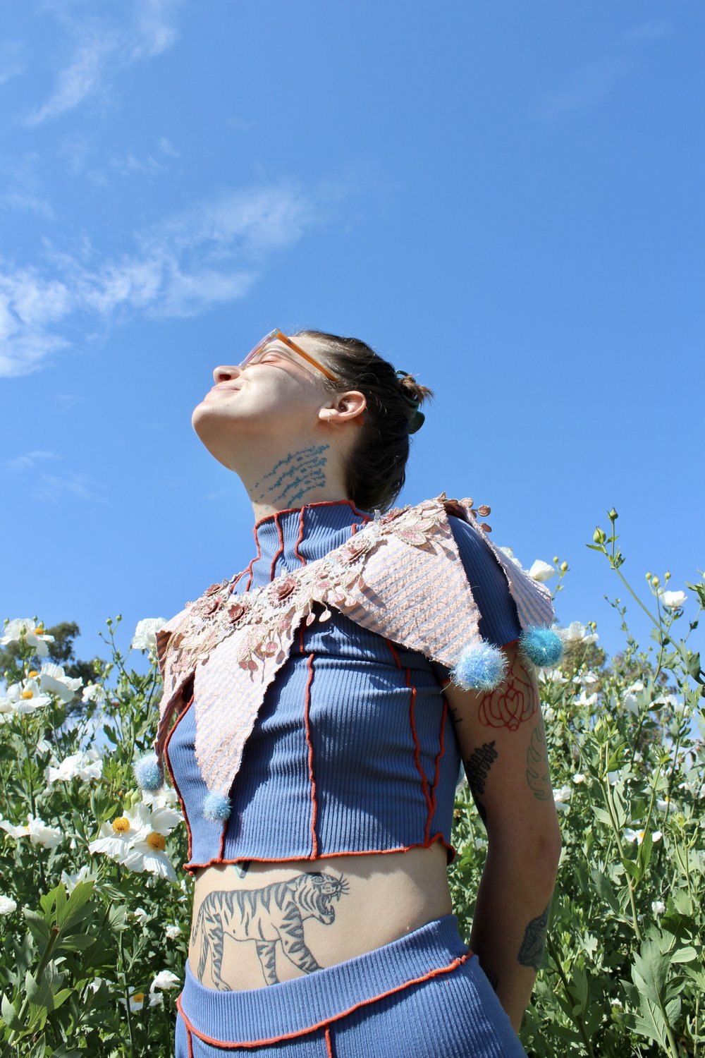 Pink Stripe Clown Collar