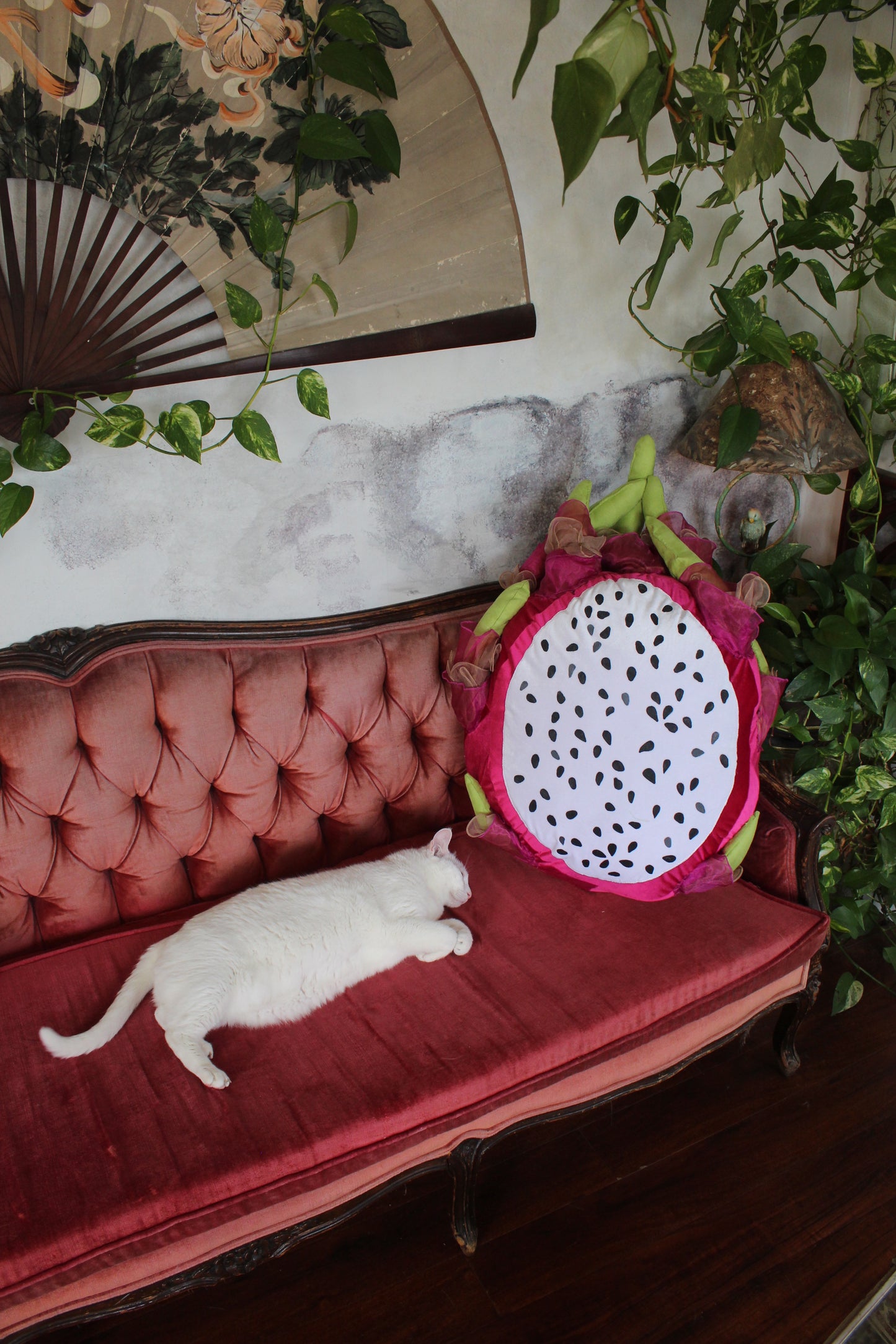 Big Dragonfruit